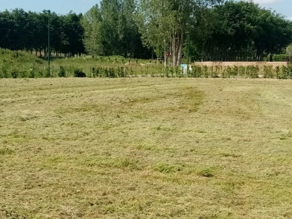 Terrain à vendre  proche de AMFREVILLE LES CHAMPS (76)