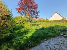 Dpt Seine Maritime (76), à vendre proche de SAINT ROMAIN DE COLBOSC terrain 