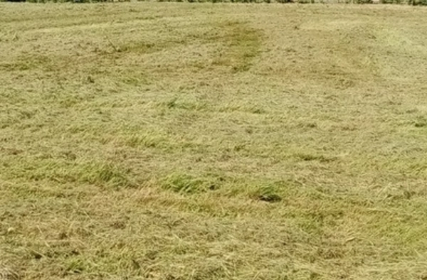 Terrain à vendre HEURTEAUVILLE (76)