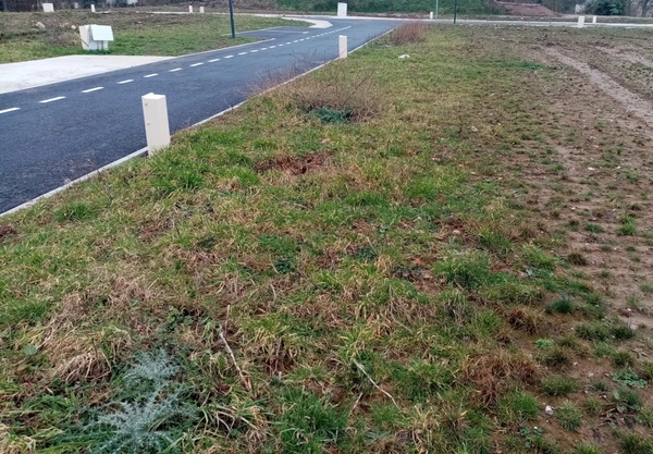 Dpt Seine Maritime (76), à vendre YVETOT terrain 