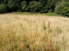 Dpt Seine Maritime (76), à vendre HERICOURT EN CAUX terrain 