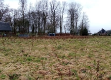 Dpt Seine Maritime (76), à vendre TERRES DE CAUX terrain 