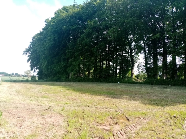 Dpt Seine Maritime (76), à vendre proche de YVETOT terrain 