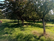 Dpt Seine Maritime (76), à vendre proche CANY-BARVILLE maison P3