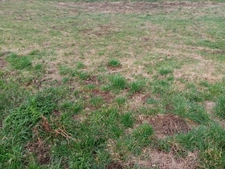 Dpt Seine Maritime (76), à vendre GUEUTTEVILLE LES GRES terrain 