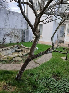 Maison à vendre 7 pièces  (28)