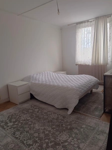 Maison à vendre 7 pièces  (28)
