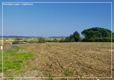 Brax, beau terrain plat et viabilisé à vendre de 766 m² avec vue dégagée sur la vallée