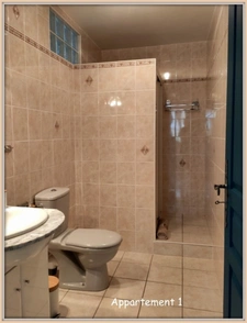 Lectoure, on the outskirts of the village, a property complex of 324 m² of living space, spread over two levels on a plot of over 5,000 m². Ideal for a rental investment!