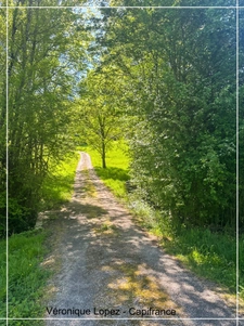 Golfech, à 10 minutes, propriété de charme au cœur de la nature sur plus de 15 hectares