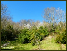 AGEN near the center, beautiful stone house with 7 rooms, veranda, swimming pool, dovecote, large garage on land of 3,951.00 m²
