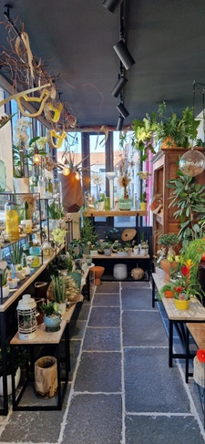Fleuriste à vendre à LE CENDRE (63) !