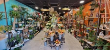 Fleuriste à vendre à COURNON D'AUVERGNE (63) !