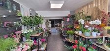 Fonds de commerce de fleuriste + immeuble à vendre à Gerzat (63) !