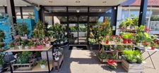 Fleuriste à vendre à COURNON D'AUVERGNE (63) !