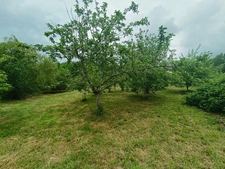 🌿 Écolieu en centre bourg - 2,4 ha - Scaër