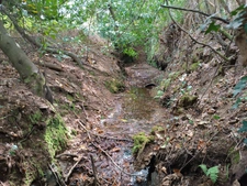 🌿 Écolieu en centre bourg - 2,4 ha - Scaër