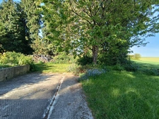 Maison en pierre 94 m² avec jardin arboré de 952 m², dépendances et serre – 3 chambres