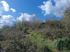 Terrain à vendre  7 578 m² CHATEAUNEUF DU FAOU (29)