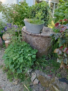 Maison en pierre 94 m² avec jardin arboré de 952 m², dépendances et serre – 3 chambres