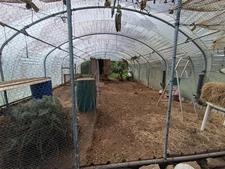 🌿 Écolieu en centre bourg - 2,4 ha - Scaër