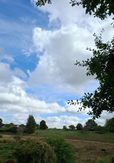 TERRAIN SAINT-SYMPHORIEN (27)