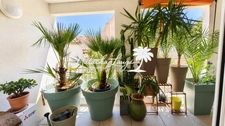 Appartement T2 avec une terrasse et une place de parking à Martigues