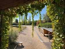À vendre – Propriété avec maison, installations équestres et piscine à Massongy (74)
