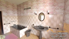 Magnifique propriété de caractère à vendre 347m2 DAMIATTE (81)