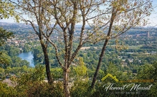 Magnifique vue sur ALBI maison à vendre 7 pièces  (81)