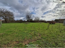 Terrain de 1 531 m² – Secteur Beaumont-sur-Sarthe