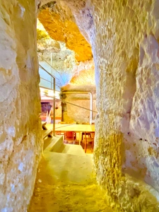 Maison avec vue panoramique et caves troglodytes à Luynes 37230