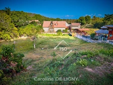 Terrain à vendre  DESHAIES (971)