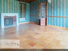 Coup de coeur pour les amoureux de belle demeure à vendre 14 pièces - Elégance, art de vivre - SOUVIGNE (79)