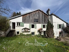 Ancien moulin vosgien du XVIIe siècle – 172 m² habitables – Fort potentiel – Cadre naturel exceptionnel - Herpelmont (88600)