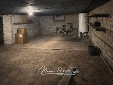 Maison rénovée avec 4 chambres – Environnement calme à Thaon-les-Vosges proche domaine des lacs (88150)
