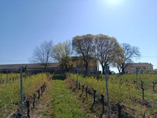 Maison en pierre à vendre 8 pièces MONBAZILLAC (24)