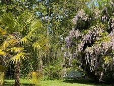 Maison de campagne, isolée, parc arboré, piscine