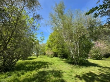 Maison de campagne, isolée, parc arboré, piscine