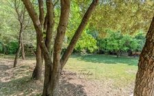 Domaine à vendre à Rousset à 15 minutes d'Aix-en-Provence - 8 000 m² - plusieurs logements - 262 m² habitables - calme absolu - amoureux de la nature