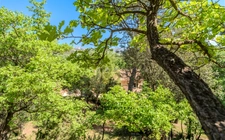 Domaine à vendre à Rousset à 15 minutes d'Aix-en-Provence - 8 000 m² - plusieurs logements - 262 m² habitables - calme absolu - amoureux de la nature