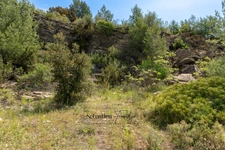 Terrain Agricole à vendre (83) - Vue panoramique - Accès facile - Alimentée par le canal de Provence