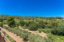 Maison à vendre 8 pièces LA CADIERE D'AZUR (83) - 2 logements - grande piscine - vue panoramique - grande parcelle - calme - nombreuses annexes