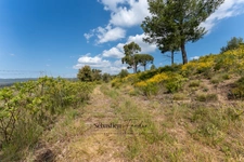 Agricultural land for sale (83) - Panoramic view - Easy access - Fed by the Canal de Provence