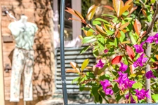 ?️ À CÉDER – Boutique de prêt-à-porter “Emilie Jane” – Emplacement N°1 au cœur du Castellet (83) ? Rue du Jeu de Paume – Centre piéton du village médiéval