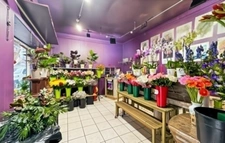 A A vendre COLOMBES (92) - Fonds de commerce de fleurs (emplacement n°1) - 50 m2 - 92 000 € honoraires d’agence inclus 