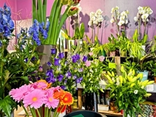 A A vendre COLOMBES (92) - Fonds de commerce de fleurs (emplacement n°1) - 50 m2 - 92 000 € honoraires d’agence inclus 