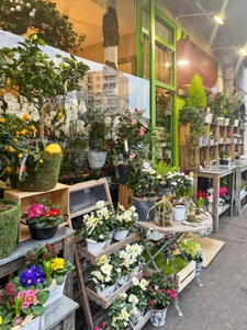 Nogent-sur-Marne (94) – Vente d’un Fonds de commerce de fleurs – Emplacement n°1 – 119 000 € honoraires d’agence inclus
