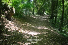 Propriété familiale de charme avec parc arboré dans le Revermont jurassien, proche LONS-LE-SAUNIER (39000)