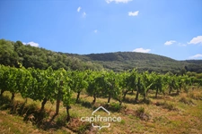 Propriété familiale de charme avec parc arboré dans le Revermont jurassien, proche LONS-LE-SAUNIER (39000)